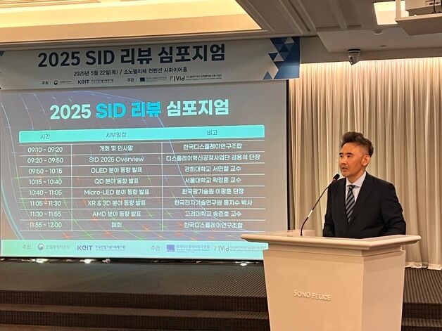 "韓, OLED 기술 앞서지만…中 추격 따돌릴 '미래 기술' 미흡"