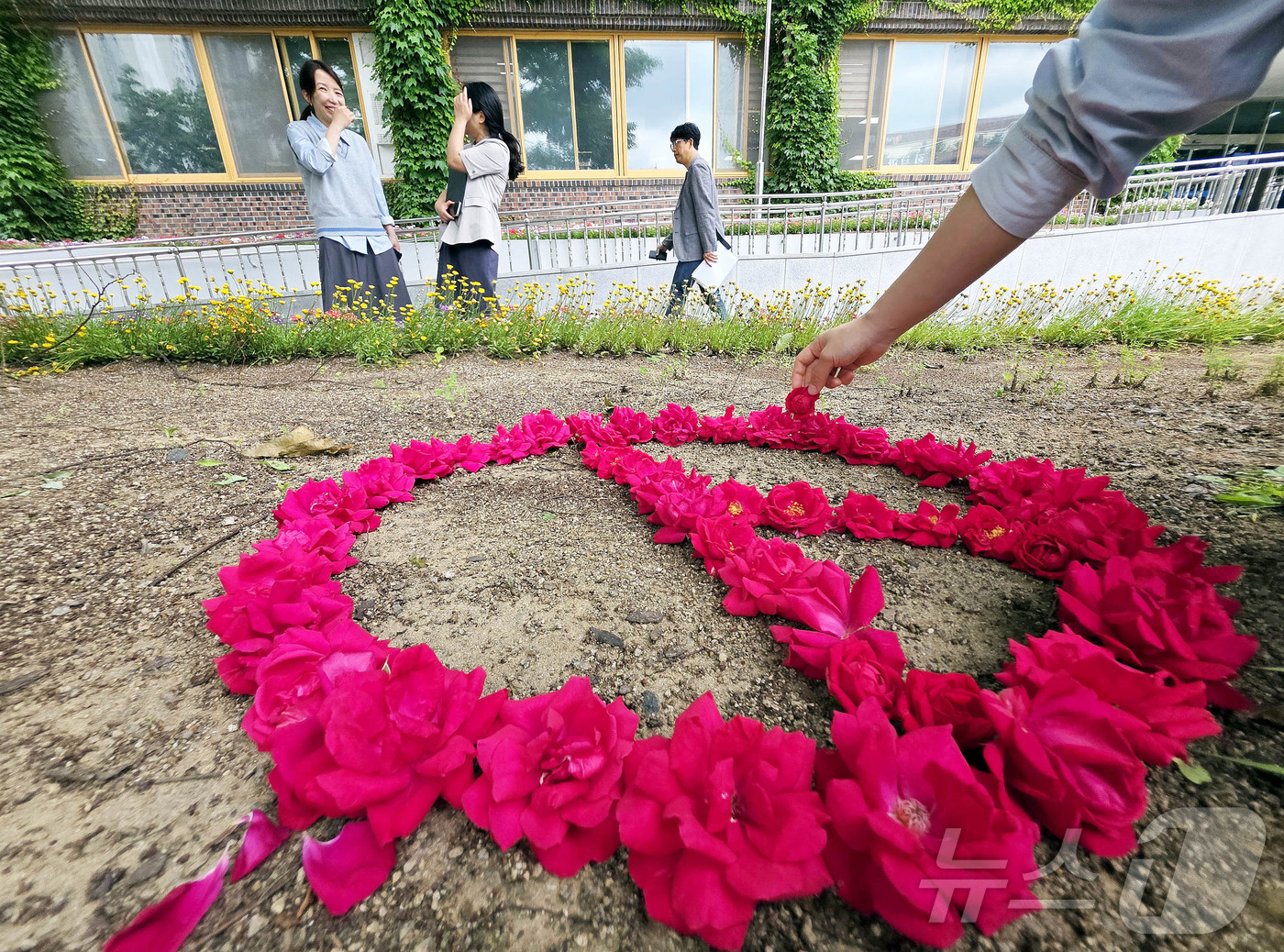 (광주=뉴스1) 박지현 기자 = 대선 D-12일을 앞둔 22일 광주 북구청 광장 가로화단에서 한 시민이 장미꽃을 이용해 투표 도장 이미지를 만들어 보고 있다. (광주 북구 제공. …