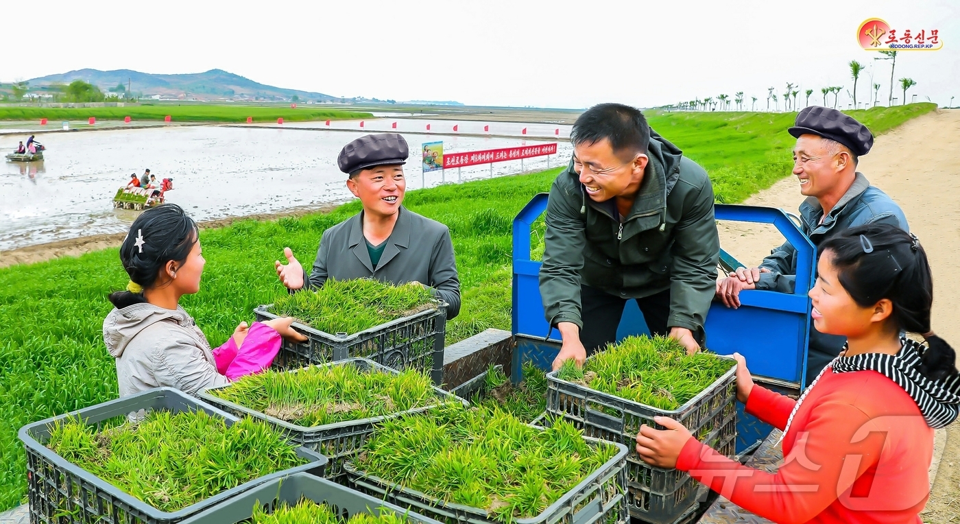 (평양 노동신문=뉴스1) = 북한 노동당 기관지 노동신문은 23일 안악군 경지농장을 조명하며 "한해 농사의 중요한 영농공정인 모내기를 힘있게 다그치고 있다"고 보도했다. [국내에서 …