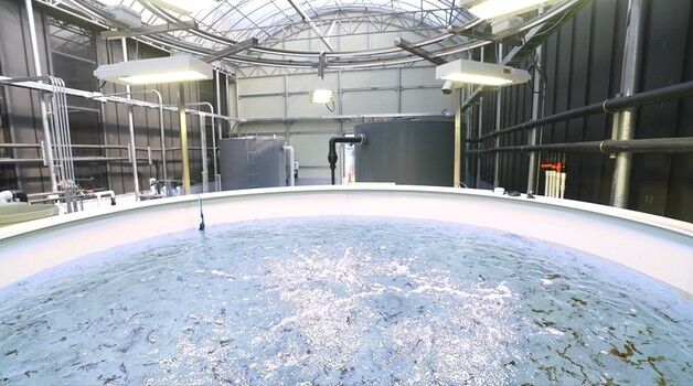 풀무원, '김 육상양식 기술개발' 국책 R&D 과제 최종 사업자 선정