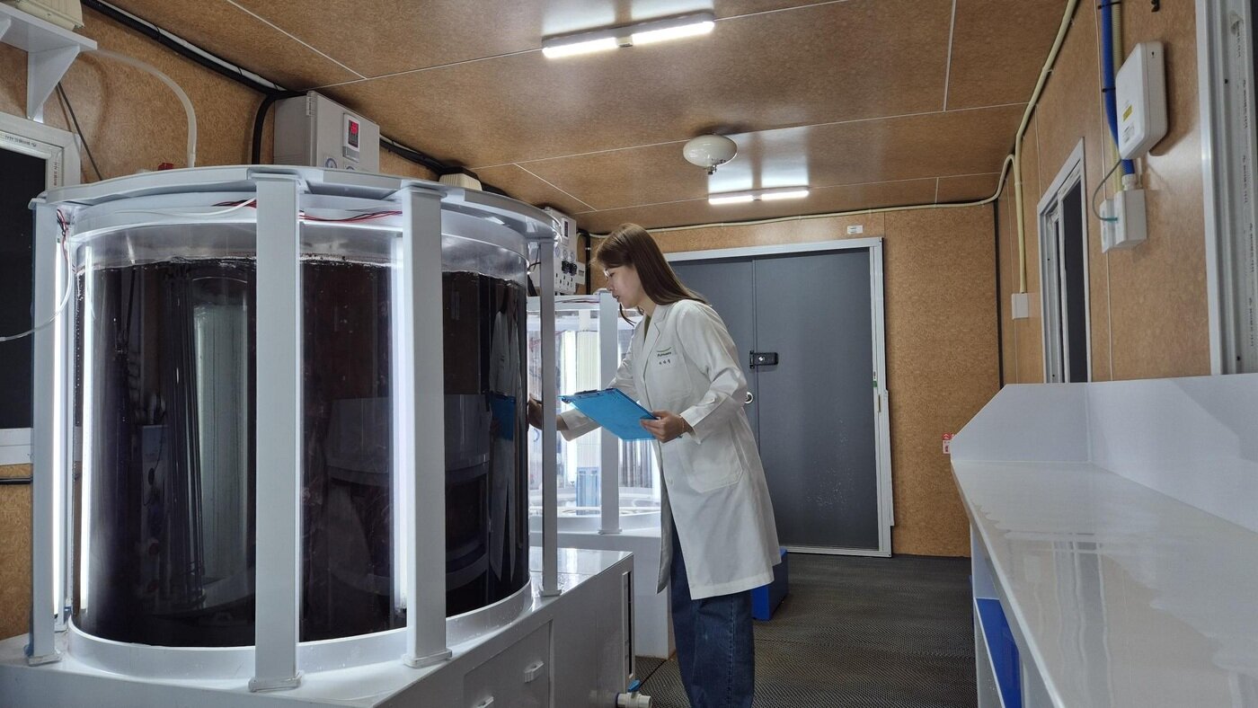 본문 이미지 -  풀무원기술원 연구원이 바이오리엑터로 불리는 큰 수조 안에서 재배되고 있는 육상양식 김을 연구하고 있다.&#40;풀무원 제공&#41;