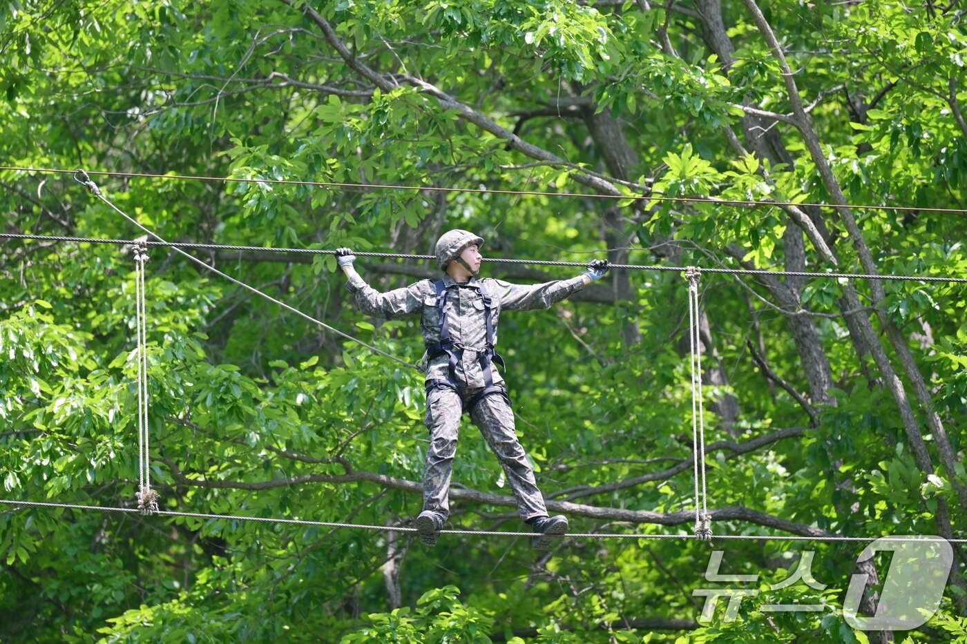본문 이미지 - 육군은 23일 각 병과학교에서 '신임장교 지휘참모과정' 교육훈련에 매진 중인 장병들의 모습을 공개했다. 육군보병학교 신임장교들이 유격훈련 중 산악장애물 극복을 위한 횡단이동 훈련을 하고 있다. (육군 제공. 재판매 및 DB 금지) 2025.5.23/뉴스1