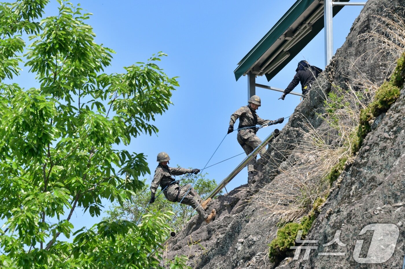 본문 이미지 - 육군은 23일 각 병과학교에서 '신임장교 지휘참모과정' 교육훈련에 매진 중인 장병들의 모습을 공개했다. 육군보병학교 신임장교들이 유격훈련 중 산악장애물 극복을 위한 후면하강 훈련을 하고 있다. (육군 제공. 재판매 및 DB 금지) 2025.5.23/뉴스1