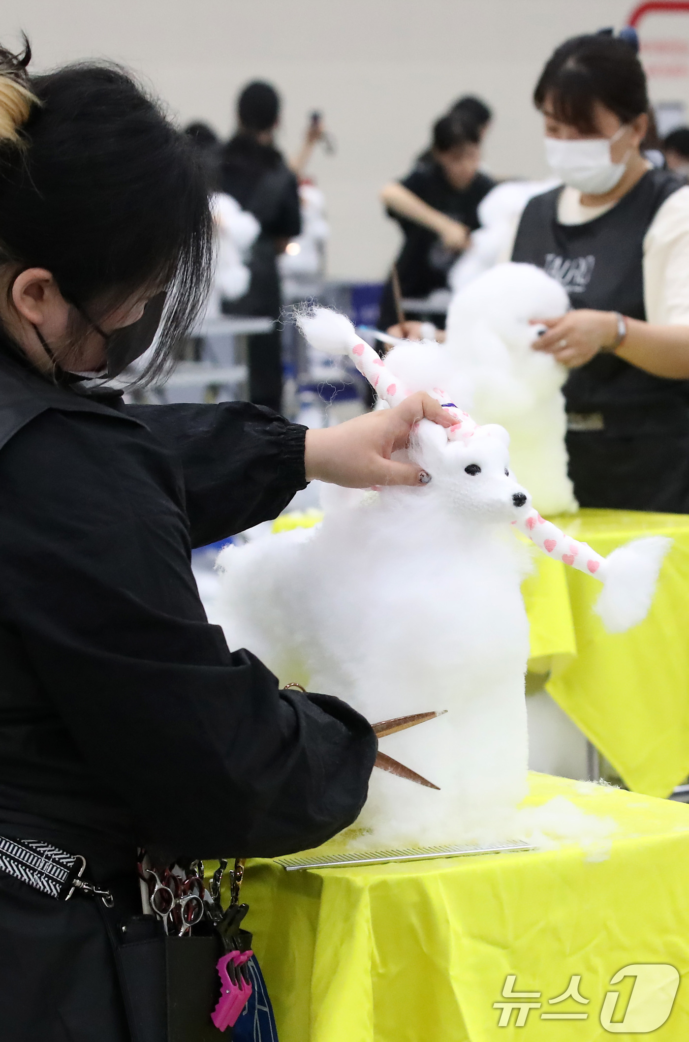 (대구=뉴스1) 공정식 기자 = 23일 오전 대구 북구 엑스코(EXCO)에서 '제22회 대구 펫쇼'의 부대행사로 열린 '위그(강아지 모형) 미용 콘테스트' 참가자들이 기량을 선보이 …