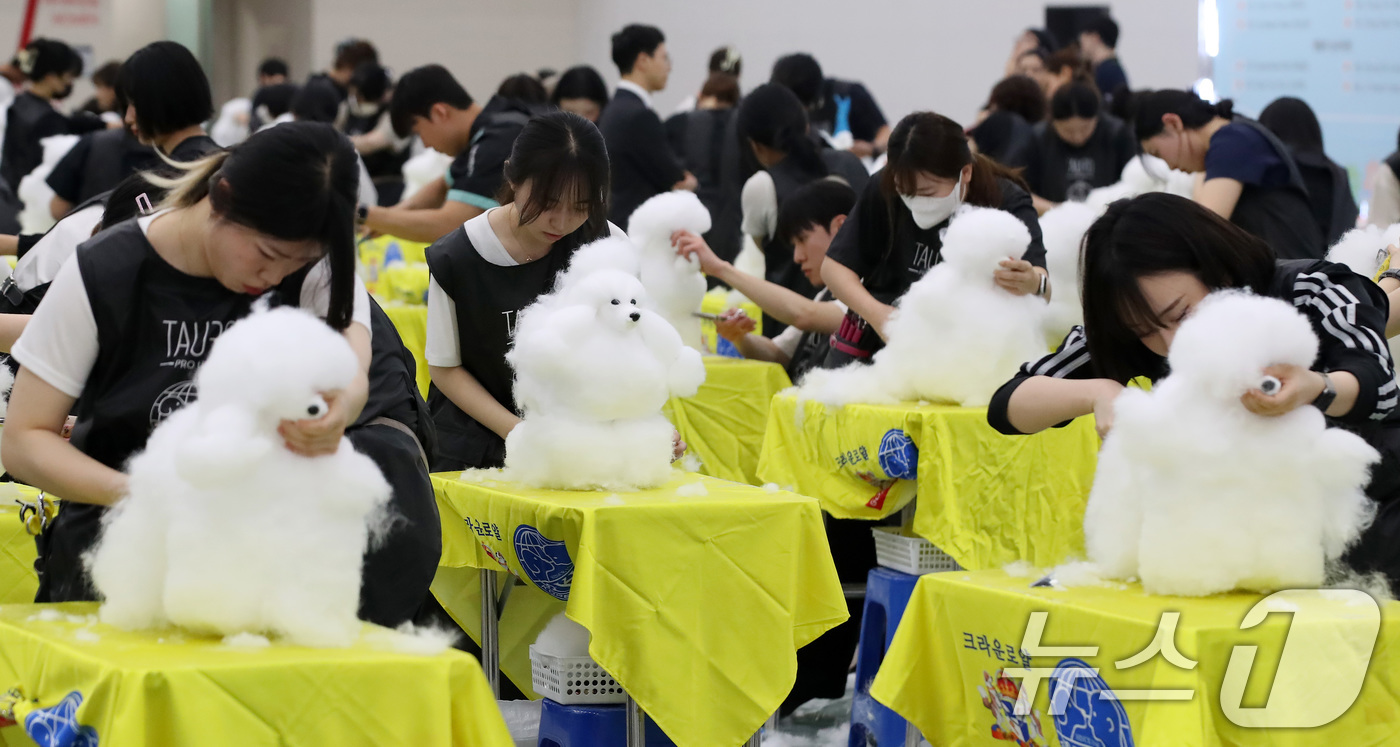 (대구=뉴스1) 공정식 기자 = 23일 오전 대구 북구 엑스코(EXCO)에서 '제22회 대구 펫쇼'의 부대행사로 열린 '위그(강아지 모형) 미용 콘테스트' 참가자들이 기량을 선보이 …