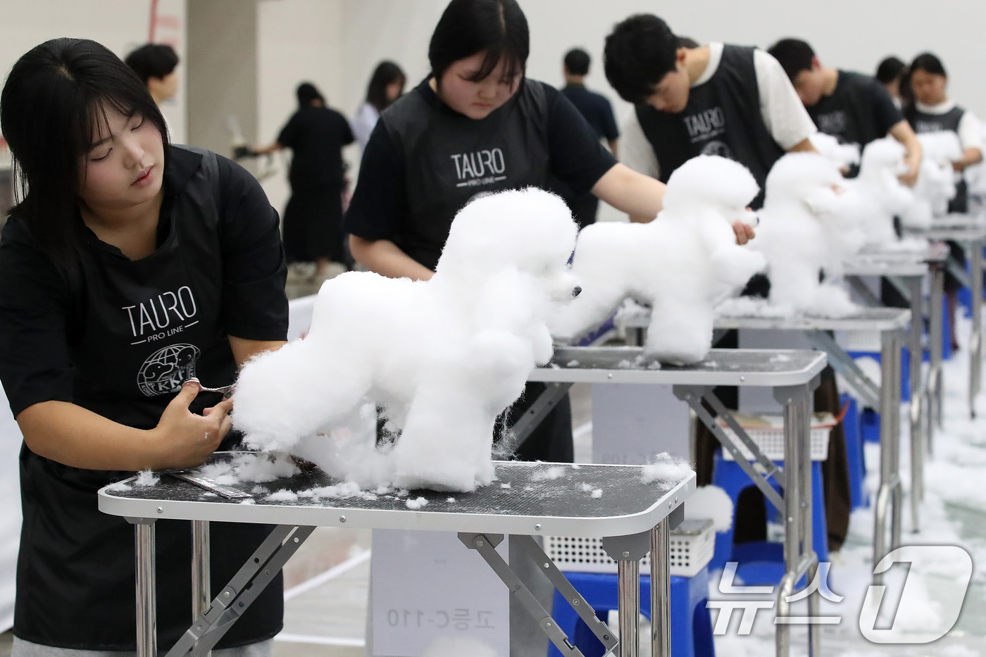 (대구=뉴스1) 공정식 기자 = 23일 오전 대구 북구 엑스코(EXCO)에서 '제22회 대구 펫쇼'의 부대행사로 열린 '위그(강아지 모형) 미용 콘테스트' 참가자들이 기량을 선보이 …