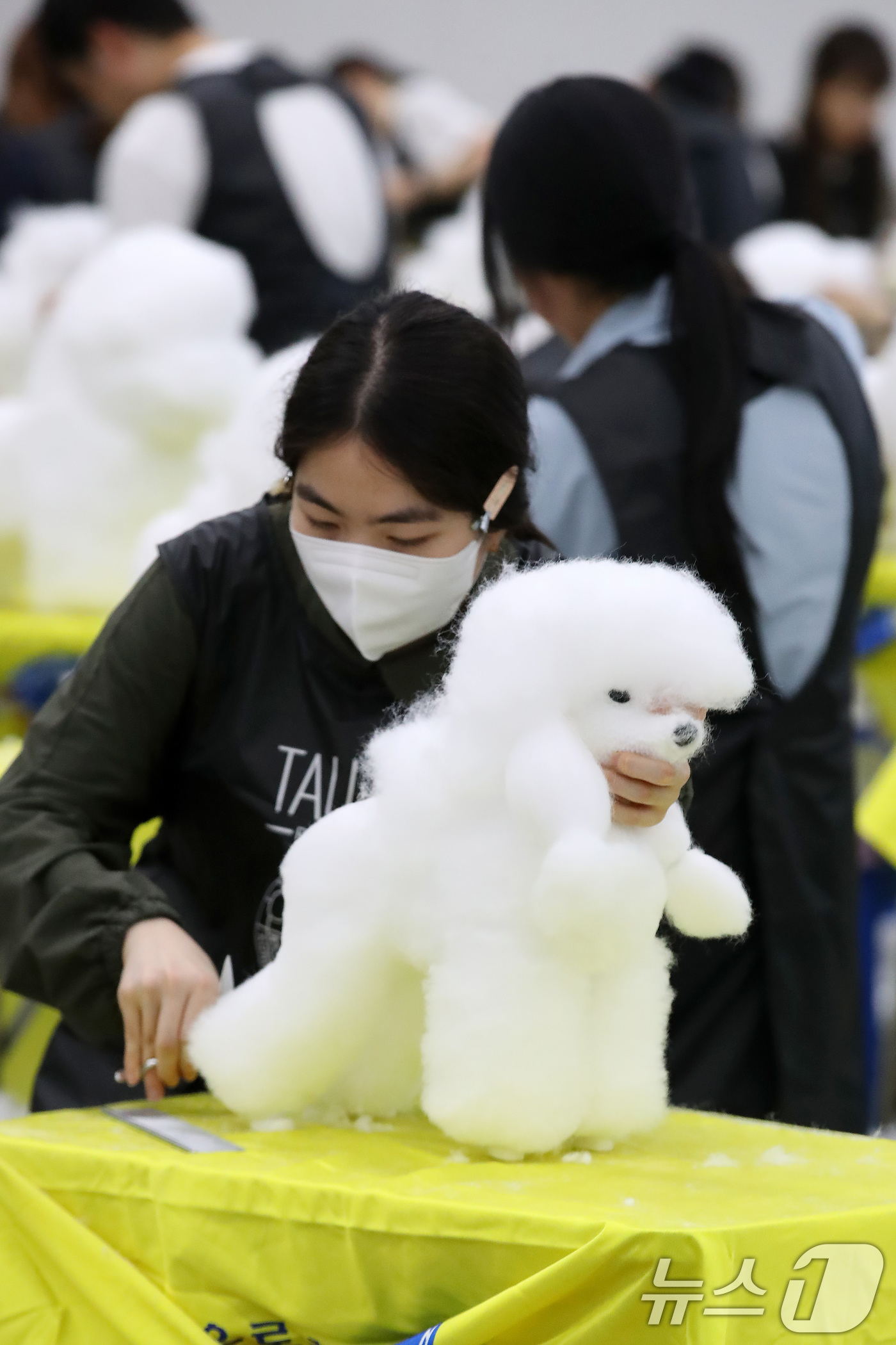 (대구=뉴스1) 공정식 기자 = 23일 오전 대구 북구 엑스코(EXCO)에서 '제22회 대구 펫쇼'의 부대행사로 열린 '위그(강아지 모형) 미용 콘테스트' 참가자들이 기량을 선보이 …