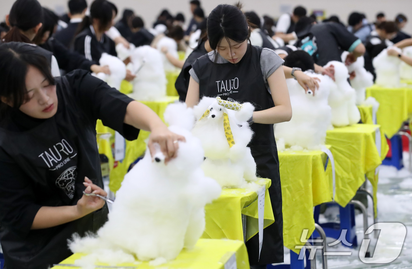 (대구=뉴스1) 공정식 기자 = 23일 오전 대구 북구 엑스코(EXCO)에서 '제22회 대구 펫쇼'의 부대행사로 열린 '위그(강아지 모형) 미용 콘테스트' 참가자들이 기량을 선보이 …