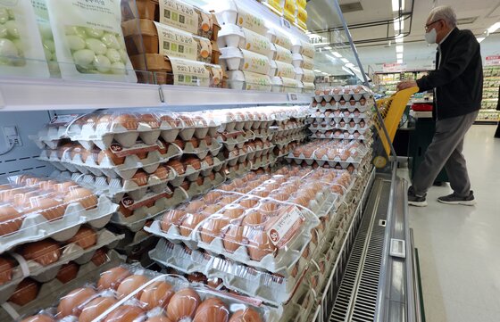 본문 이미지 - 서울 한 대형마트 모습. 2025.5.23/뉴스1 ⓒ News1 김명섭 기자