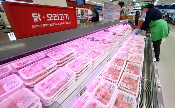 브라질산 닭고기 이달 말 수입 재개…AI 미발생 지역부터