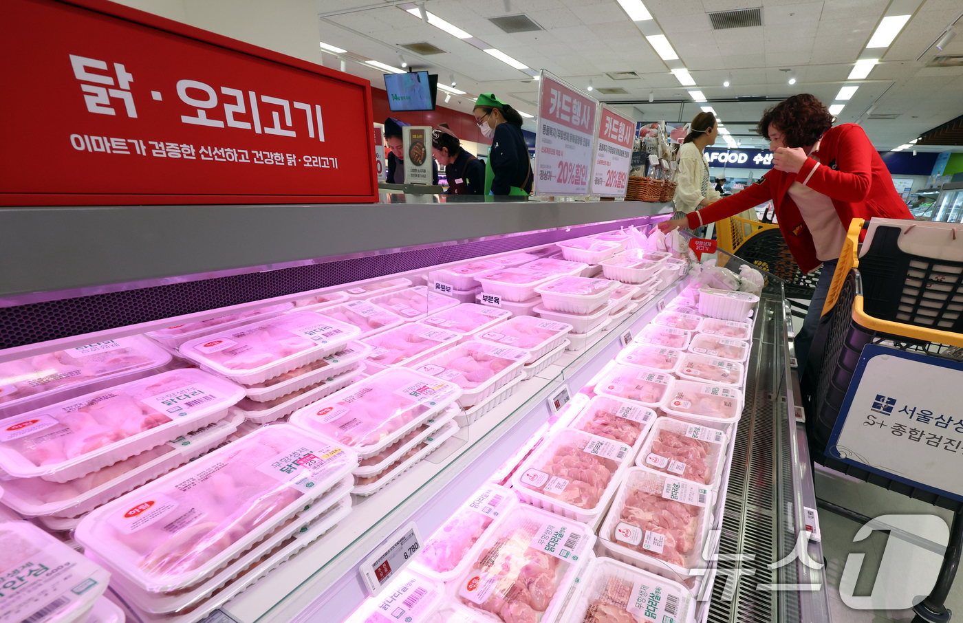 (서울=뉴스1) 김명섭 기자 = 23일 정부가 브라질 조류인플루엔자(AI) 발생으로 닭고기 수입이 중단되며 국내 공급 부족 상황에 대처하기 위해 미발생 지역산 닭고기 수입을 허용하 …