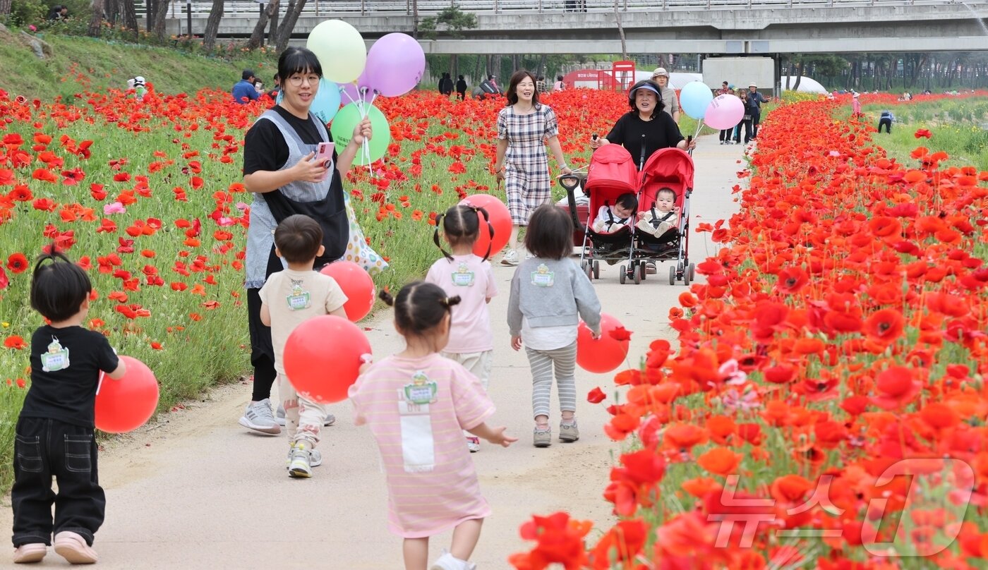본문 이미지 - 2025 괴산빨산맛페스티벌이 열리고 있는 충북 괴산 동진천변 꽃양귀비 꽃밭에서 가족이 꽃구경을 하고 있다.&#40;괴산군 제공&#41;.2025.05.23//뉴스1 2025.5.23/뉴스1 ⓒ News1 이성기 기자