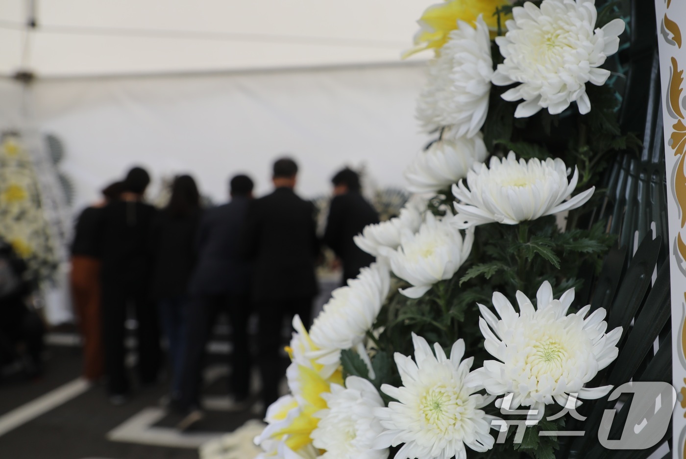 (제주=뉴스1) 고동명 기자 = 지난 22일 제주 모 중학교 교사가 학교에서 숨진 채 발견된 가운데, 23일 오후 제주도교육청 앞마당에 마련된 분향소에는 고인을 추모하기 위한 교육 …