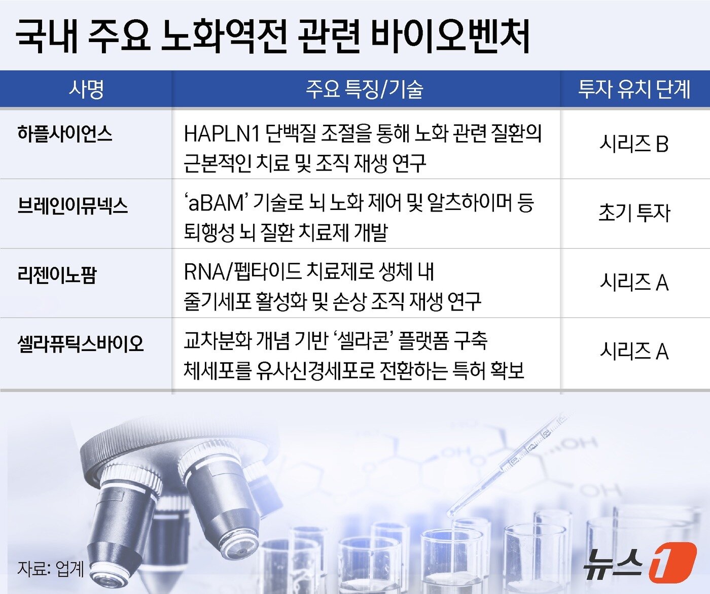 본문 이미지 - ⓒ News1 윤주희 디자이너