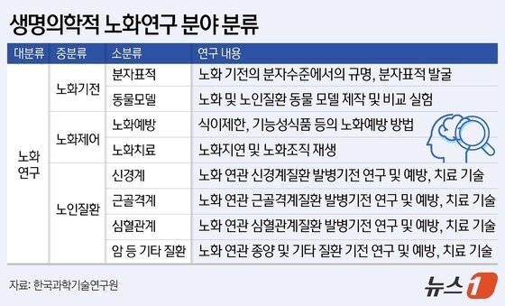 본문 이미지 - 생명의학적 노화연구 분야 분류.&#40;한국과학기술연구원 제공&#41;/뉴스1 김지영 디자이너