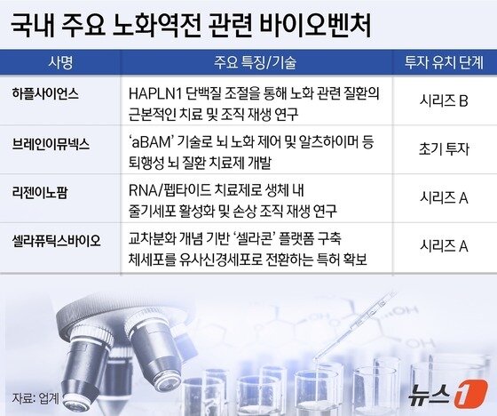 본문 이미지 - 국내 주요 노화역전 관련 바이오벤처.&#40;자료 업계&#41;/뉴스1 윤주희 디자이너