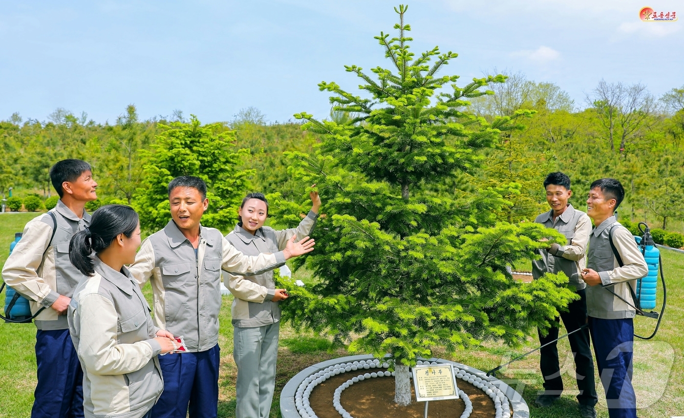 (평양 노동신문=뉴스1) = 북한 노동당 기관지 노동신문은 24일 화성산특별보호림관리소 종업원들이 김정은 당 총비서가 직접 심은 전나무를 바라보며 "어버이의 애국의 세계를 더더욱 …