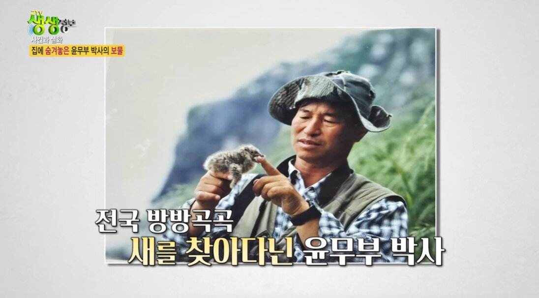 본문 이미지 - 윤무부 박사&#40;KBS 2TV 방송화면 갈무리&#41;