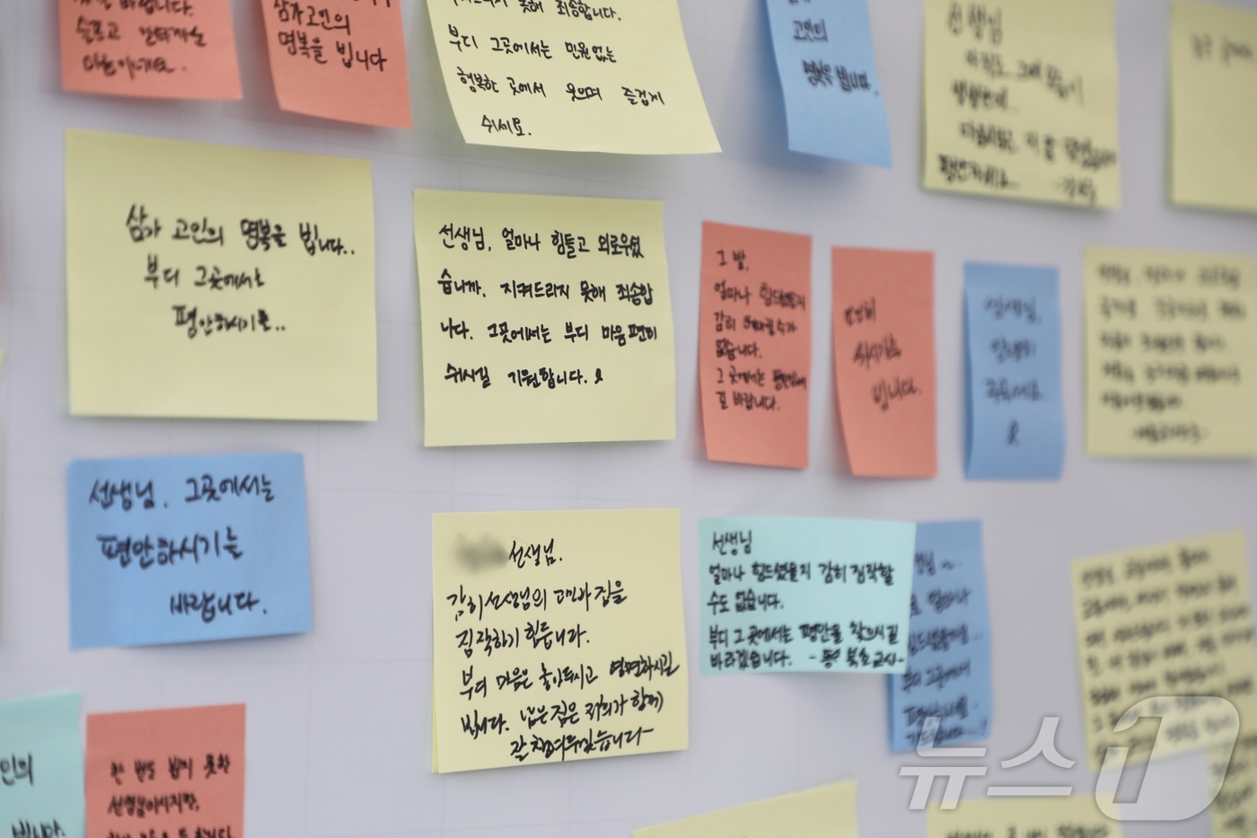 (제주=뉴스1) 홍수영 기자 = 제주 모 중학교 교사 A 씨가 사망한지 사흘째인 24일 제주도교육청 앞마당에 마련된 합동 분향소에 다녀간 추모객들의 메모가 붙어있다. 2025.5. …