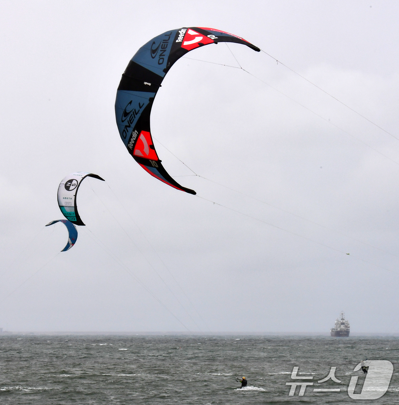 (포항=뉴스1) 최창호 기자 = 24일 오후 경북  포항시 송도해수욕장에서 카이트보드 동호인들이 바람을 가르며 수면 위를 질주하고 있다. 2025.5.24/뉴스1