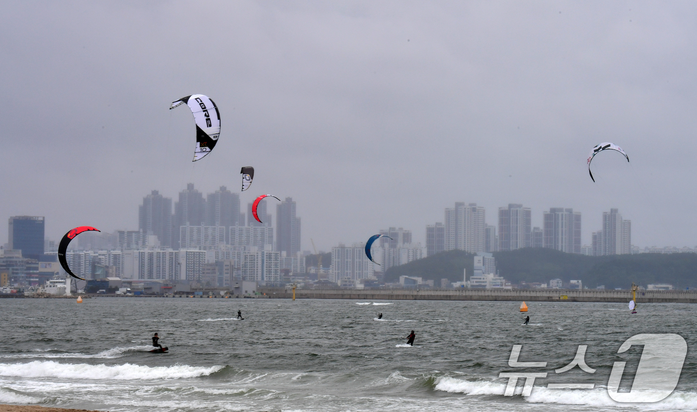 (포항=뉴스1) 최창호 기자 = 24일 오후 경북  포항시 송도해수욕장에서 카이트보드 동호인들이 바람을 가르며 수면 위를 질주하고 있다. 2025.5.24/뉴스1