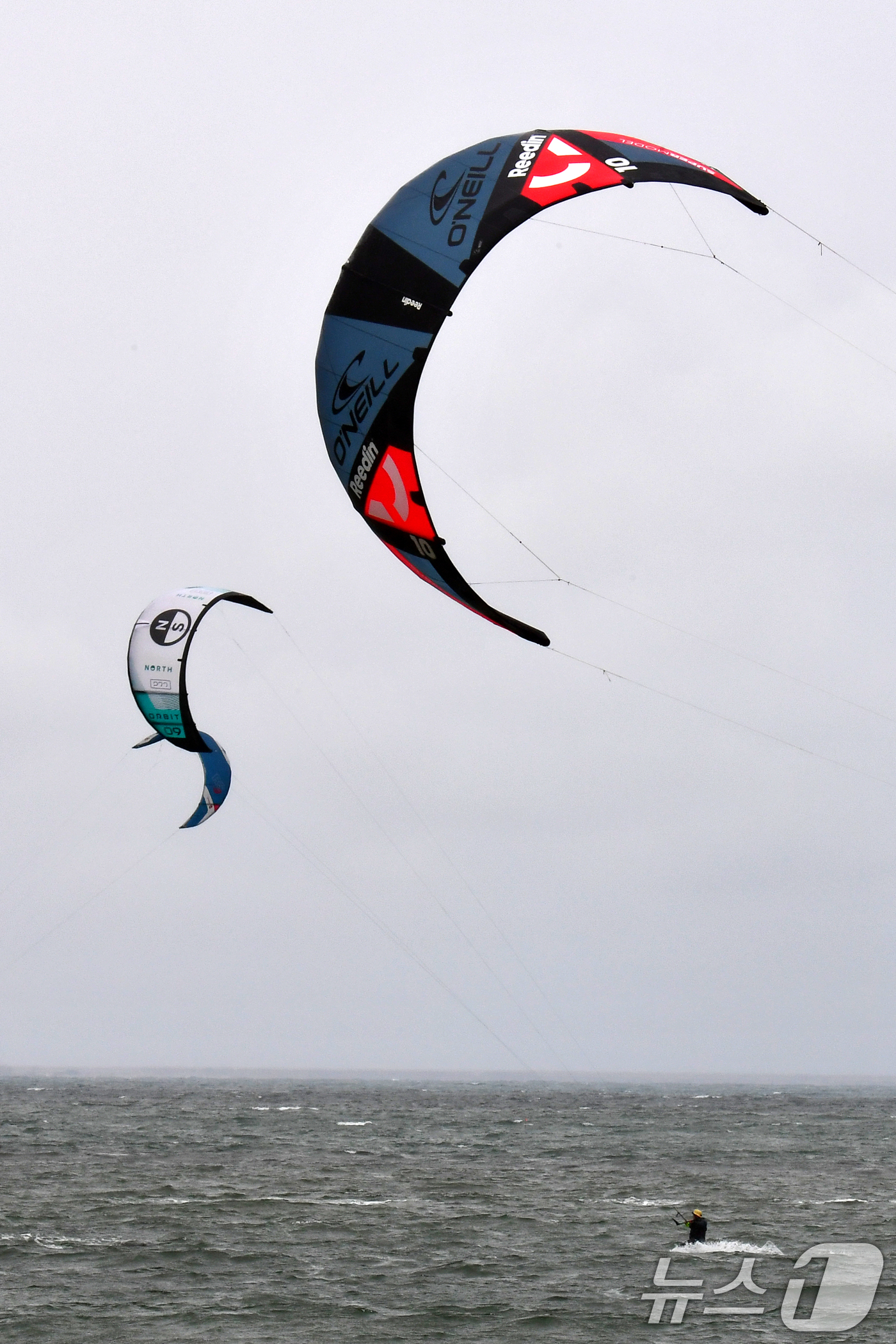 (포항=뉴스1) 최창호 기자 = 24일 오후 경북  포항시 송도해수욕장에서 카이트보드 동호인들이 바람을 가르며 수면 위를 질주하고 있다. 2025.5.24/뉴스1