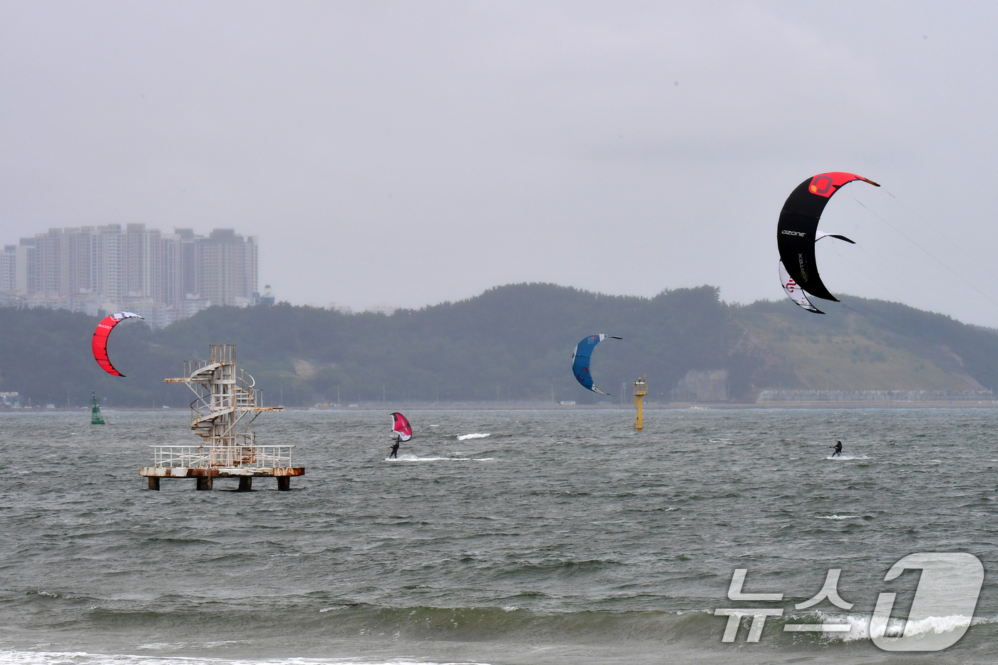 (포항=뉴스1) 최창호 기자 = 24일 오후 경북  포항시 송도해수욕장에서 카이트보드 동호인들이 바람을 가르며 수면 위를 질주하고 있다. 2025.5.24/뉴스1
