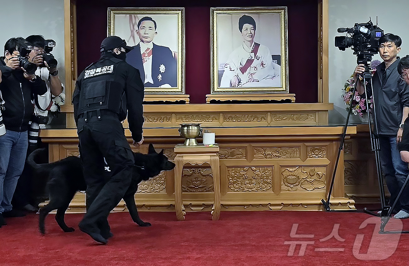 (구미=뉴스1) 정우용 기자 = 김문수 국민의힘 대통령 후보가 24일 경북 구미시 박정희 전 대통령 생가를  방문하기 전 경찰 폭발물 탐지견이 먼저 도착해 안전을 체크하고 있다. …