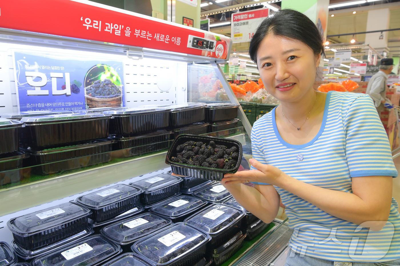 (서울=뉴스1) = 25일 서울 서초구 하나로마트 양재점에서 모델이 올해 처음 출하된 오디를 선보이고 있다. (농협유통 하나로마트 제공, 재판매 및 DB금지) 2025.5.25/뉴 …