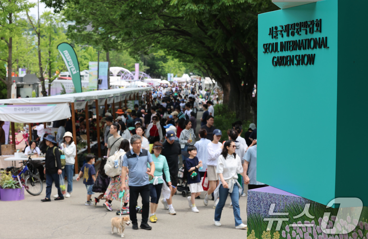 (서울=뉴스1) 박세연 기자 = 25일 서울국제정원박람회가 열리고 있는 서울 동작구 보라매공원이 나들이객으로 붐비고 있다.정원도시 서울의 대표 축제인 이번 박람회는 10월20일까지 …