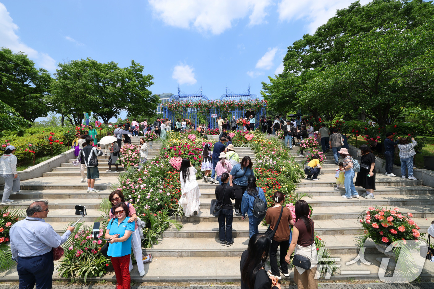 (서울=뉴스1) 박세연 기자 = 25일 서울국제정원박람회가 열리고 있는 서울 동작구 보라매공원을 찾은 방문객들이 현대장미원에서 즐거운 시간을 보내고 있다.정원도시 서울의 대표 축제 …