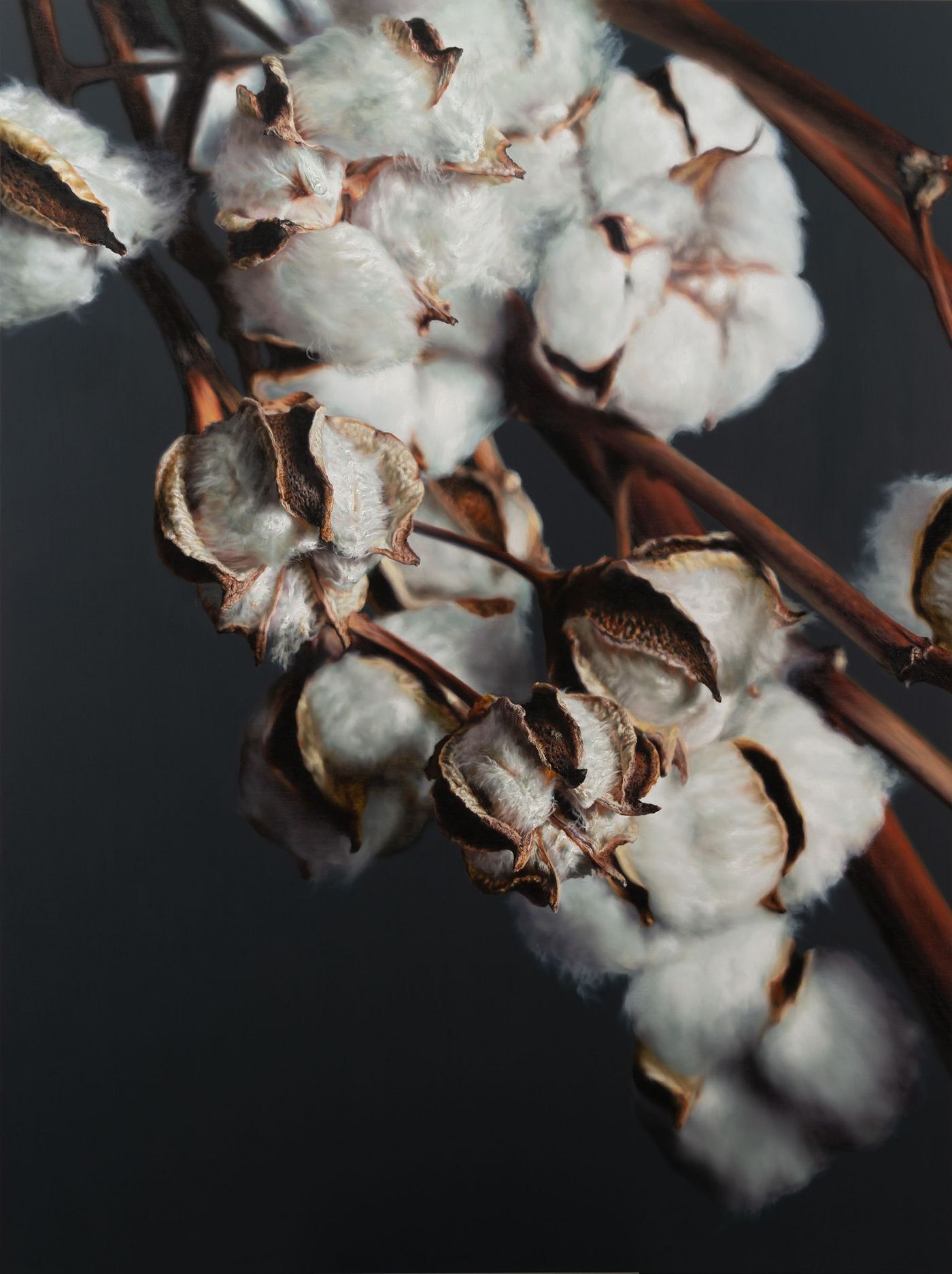 본문 이미지 - 강강훈, Cotton, 2025, Oil on Canvas, 259 x 194 cm (조현화랑 제공)