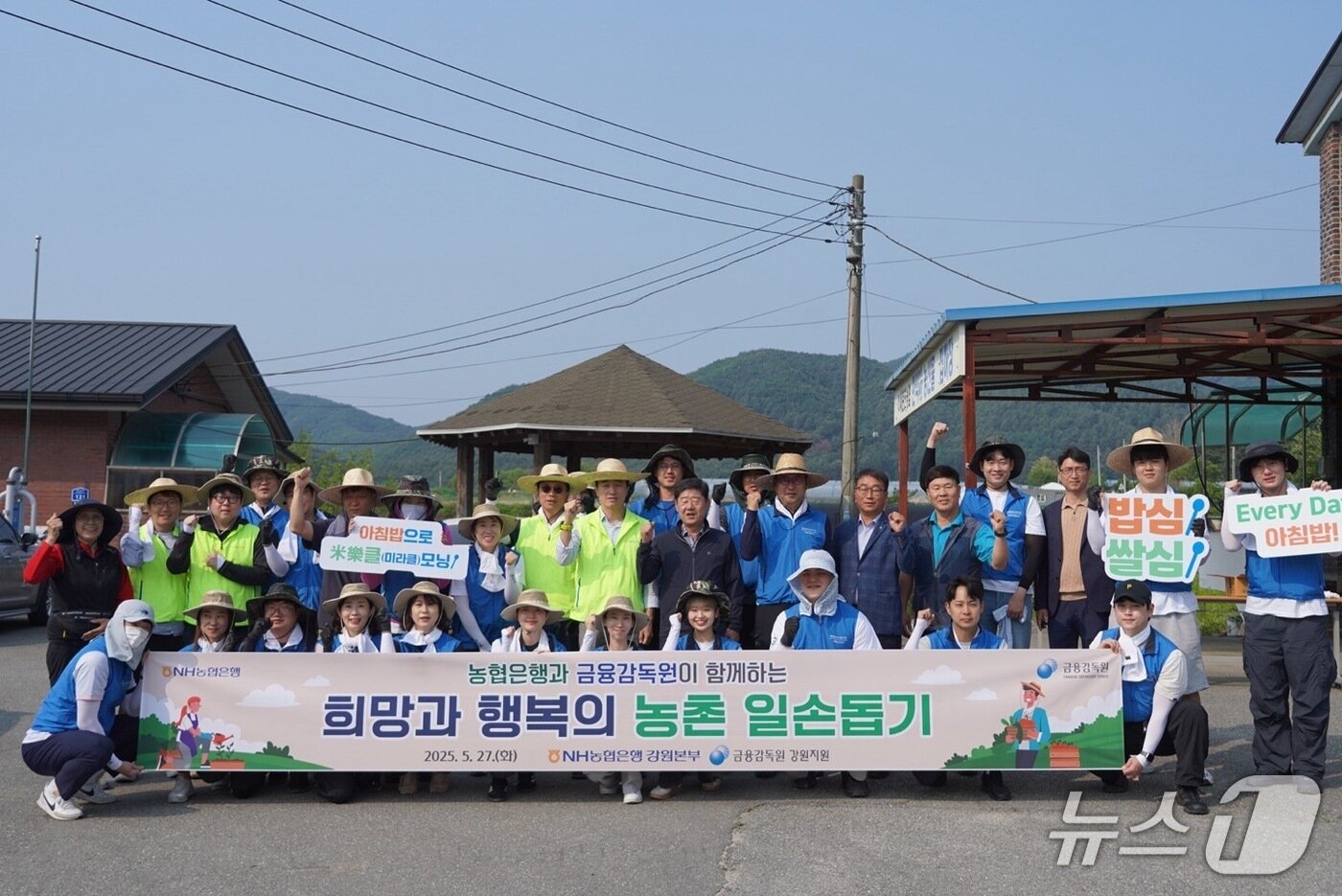 본문 이미지 - 합동 농촌 일손 돕기.(농협 강원본부 제공. 재판매 및 DB금지)/뉴스1