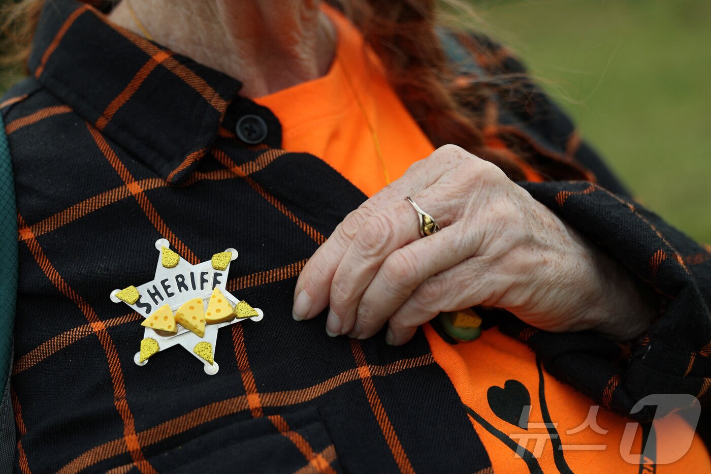 본문 이미지 - 26일(현지시간) 영국 브록웍스의 쿠퍼스 힐에서 열린 '구르는 치즈 잡기' 대회에서 한 관람객이 치즈 보안관 배지를 달고 있다.  ⓒ 로이터=뉴스1