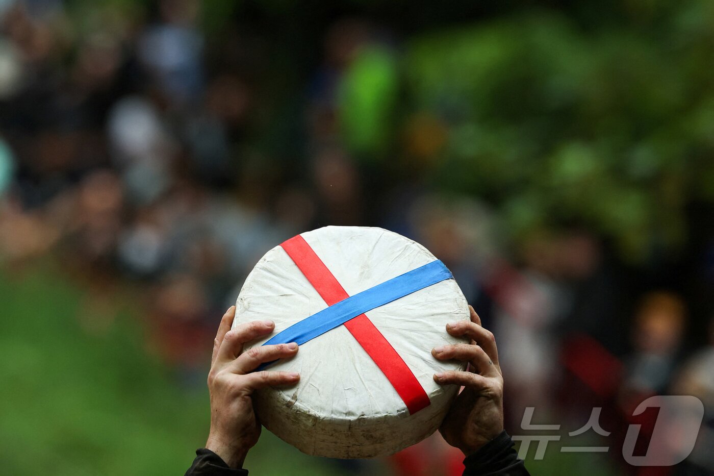 본문 이미지 - 26일(현지시간) 영국 브록웍스의 쿠퍼스 힐에서 열린 '구르는 치즈 잡기' 대회에서 우승자가 치즈 바퀴를 들고 포즈를 취하고 있다. ⓒ 로이터=뉴스1
