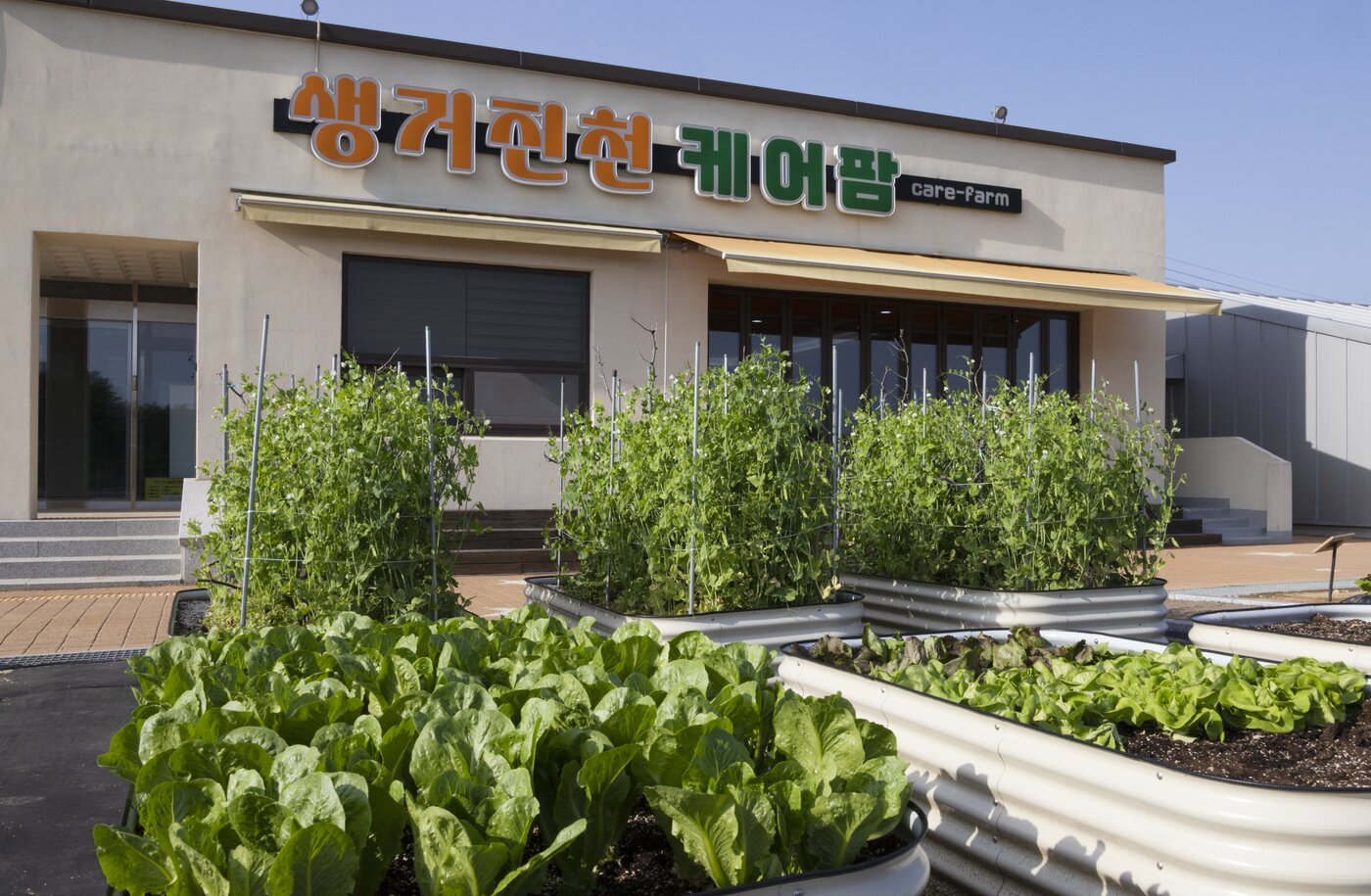 본문 이미지 - 충북 진천군이 운영하는 치유농업 기반의 &#39;케어팜&#39;&#40;보건복지부 제공&#41;