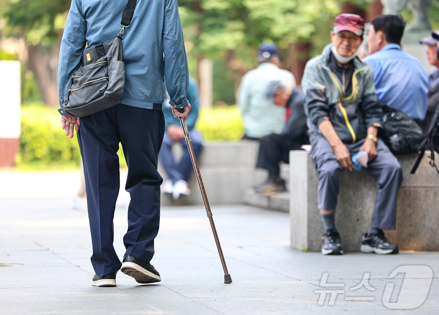 (서울=뉴스1) 김도우 기자 = 서울시 인구 중 70세 이상이 19세 이하 시민보다 많은것으로 나타났다.행정안전부 통계를 보면 19세 이하 서울시민은 119만7536명인 반면 70 …