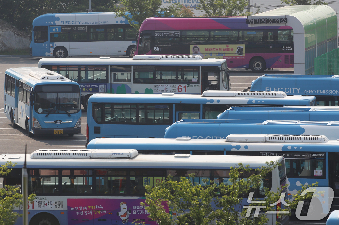 (부산=뉴스1) 윤일지 기자 = 27일 부산 강서구 강서시내버스 공영차고지에 운행을 앞둔 시내버스가 주차돼 있다.서울, 부산 등 전국자동차노동조합연맹 산하 시내버스 노조는 노사교섭 …