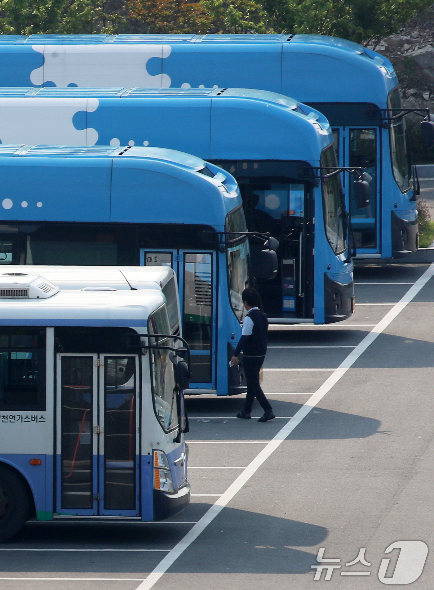 (부산=뉴스1) 윤일지 기자 = 27일 부산 강서구 강서시내버스 공영차고지에 운행을 앞둔 시내버스가 주차돼 있다.서울, 부산 등 전국자동차노동조합연맹 산하 시내버스 노조는 노사교섭 …