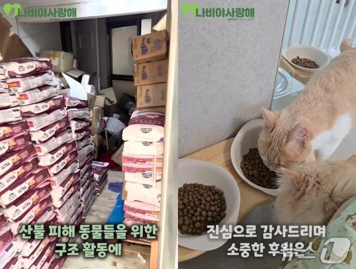 본문 이미지 - 나비야 사랑해 인스타그램 갈무리 ⓒ 뉴스1