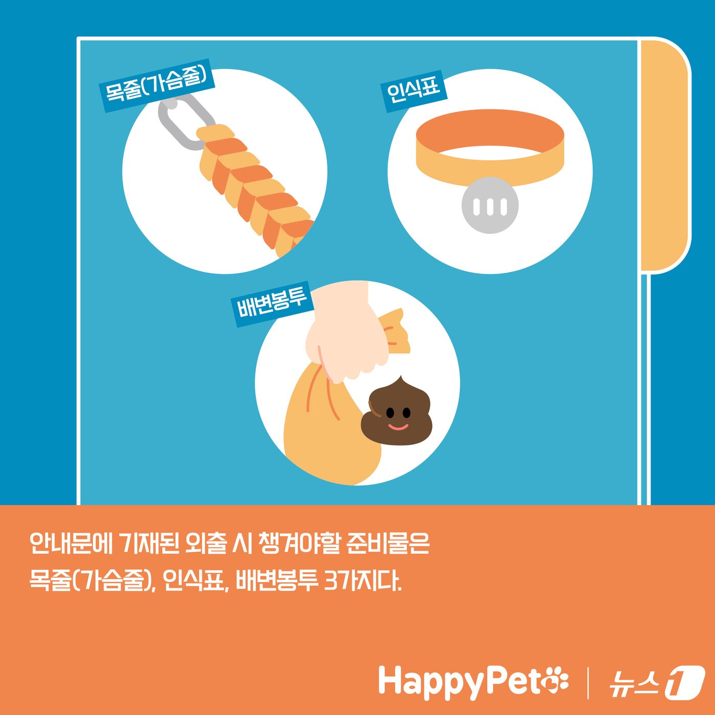 본문 이미지 - 펫카드 펫티켓