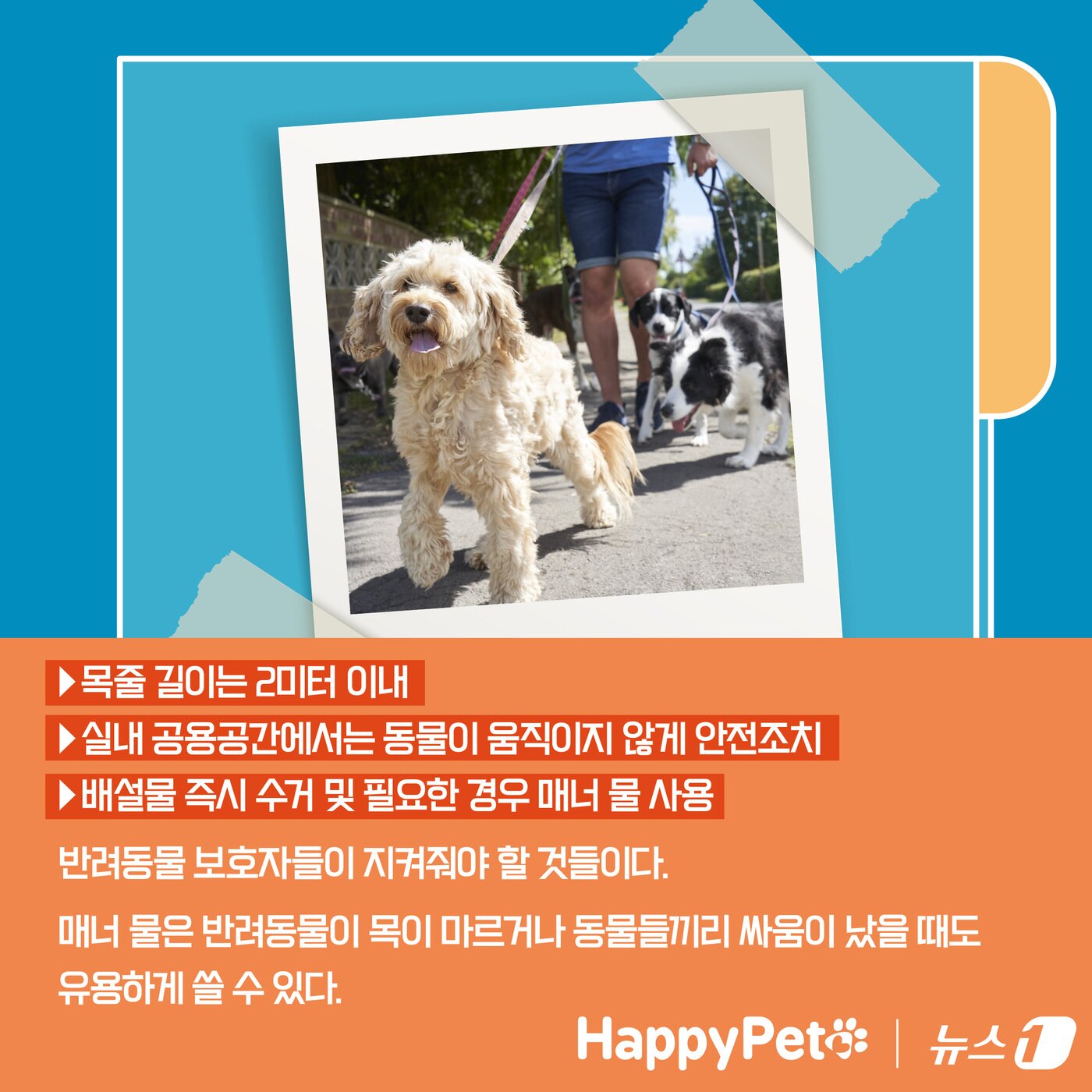 본문 이미지 - 펫카드 펫티켓