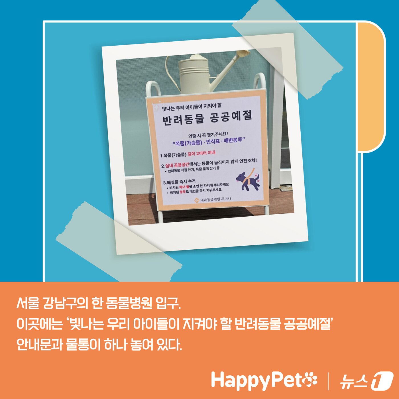 본문 이미지 - 펫카드 펫티켓