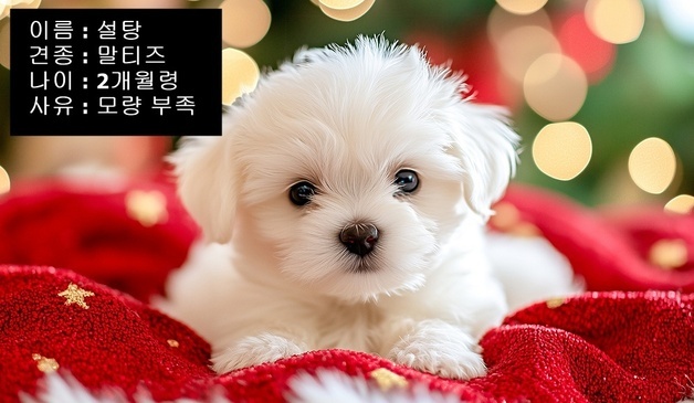 많이 본 뉴스