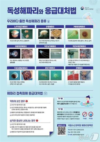 본문 이미지 - &#40;해양수산부 제공&#41;
