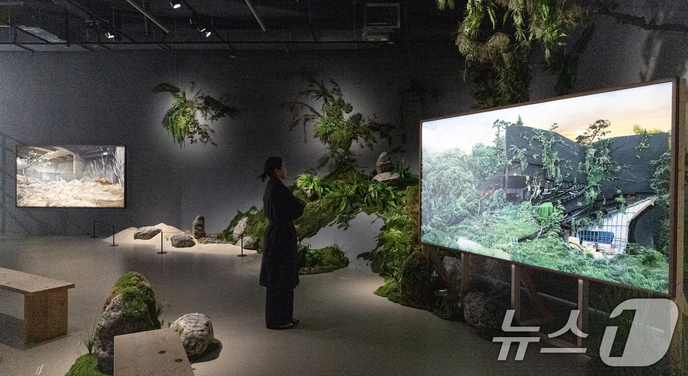 본문 이미지 - 28일 서울 도봉구 서울 시립 사진미술관에 작품들이 전시돼 있다. 2025.5.28/뉴스1 ⓒ News1 이승배 기자