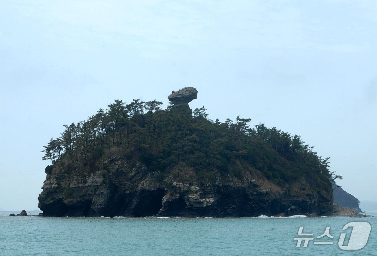 본문 이미지 -  방아섬&#40;진도군청 누리집 갈무리&#41;/뉴스1 