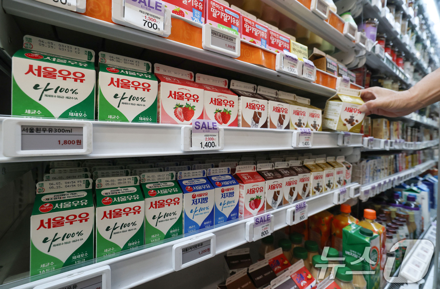 (서울=뉴스1) 박세연 기자 = 28일 서울시내의 한 편의점에서 서울우유 제품을 판매하고 있다.다음달 1일부터 편의점에서 하이트진로 맥주와 서울우유 등 제품의 소매가격이 오른다. …