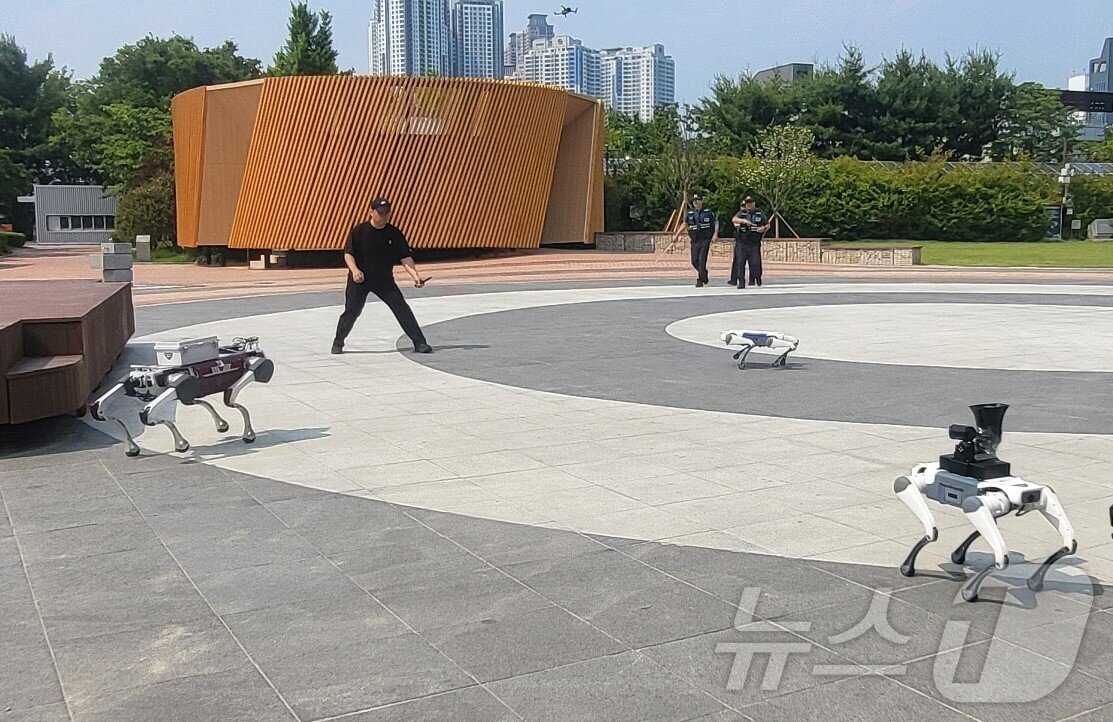 본문 이미지 - 28일 오후 4시 대구 수성구 수성못에서 대구경찰청이 드론, 폴리봇, 기동순찰대가 함께하는 디지털 합동 순찰을 시연하고 있다. 2025.5.28/뉴스1 ⓒ News1 이성덕 기자