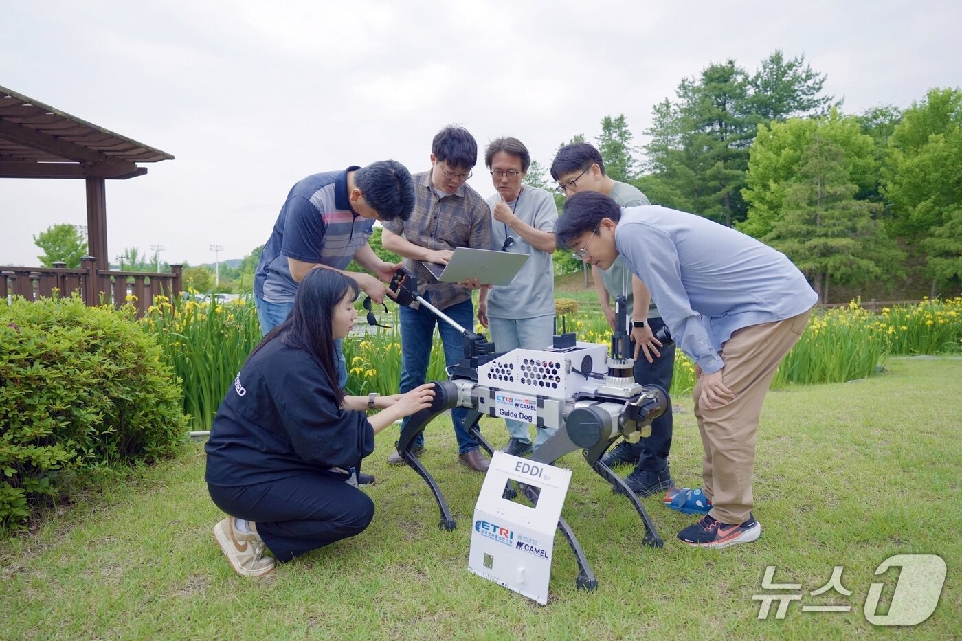 본문 이미지 -  ETRI가 개발한 시각장애인 안내견 로봇 에디&#40;ETRI 제공&#41; /뉴스1